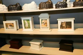 Crematórios de pets oferecem serviço acolhedor - Imagem