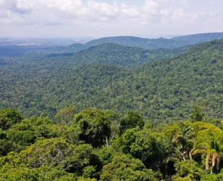 Amazônia é um dos focos da ONU para a Agenda 2030