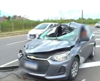 Boi atravessa a pista e colide com veículo na avenida Orlando Gomes