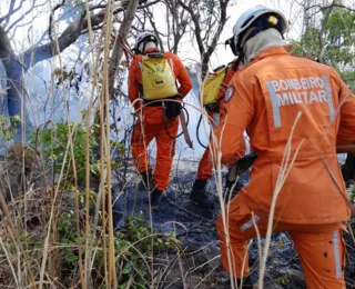 Bombeiros  combatem incêndio nas regiões Oeste, Norte e Chapada