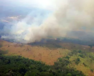 Brasil perde 15% de florestas naturais em quase 40 anos, diz MapBiomas