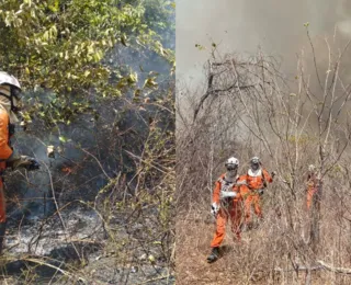 Campanha orienta sobre cuidados para evitar propagação de incêndios