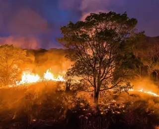 Chuvas apagam incêndios no Pantanal