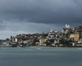 Chuvas e ventos fortes provocam queda de árvore na Garibaldi; vídeo