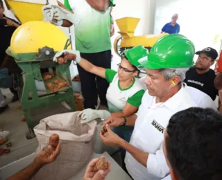 Comunidades rurais de Pindobaçu recebem unidades produtivas