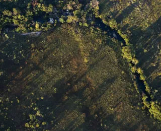 Desmatamento do Cerrado ameaça segurança hídrica de todo o Brasil