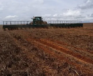 Encerrado período do vazio sanitário do algodão no Oeste baiano