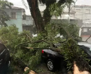 Evento climático deixa seis mortos em São Paulo