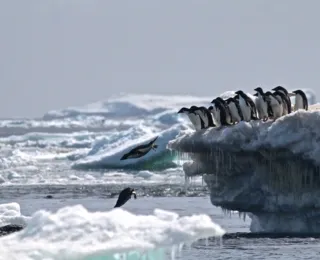 Gelo marinho da Antártica atinge baixa histórica no inverno