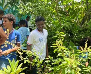 Jardim de chuva implantado em Colégio Estadual inspira música e clipe