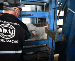 Jerônimo anuncia concurso com 160 vagas para agrônomos e veterinários