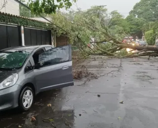 Mais de 400 mil pessoas seguem sem energia em São Paulo