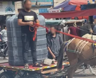 Palestinos usam cavalos para transportar água em Gaza