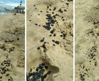 Praia da Barra amanhece cheia de óleo na areia neste domingo