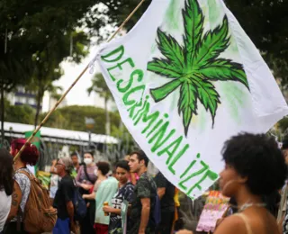 Usar maconha vai deixar de ser crime? Entenda