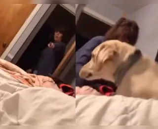 Vídeo: mãe manda cachorro para curar "coração partido" da filha