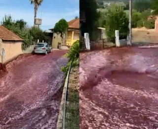 Vídeo: 'rio' de vinho inunda ruas de cidade em Portugal