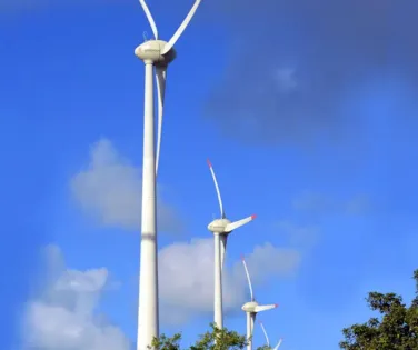 Um olhar verde para o futuro - Imagem