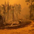 Planeta tem 12 meses de temperatura 1,5ºC acima da era pré-industrial imagem