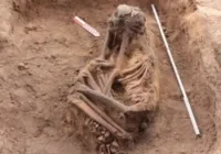 43 esqueletos que podem ter milhares de anos são achados em obra