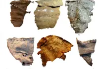 Antigos citas faziam couro com pele humana, diz estudo