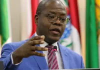 Após morte de vítima de fake news, ministro defende regular redes