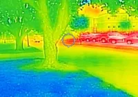 Árvores: armas contra as ilhas de calor nas cidades