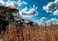 Brasil e Senegal ampliam cooperação em defesa e agropecuária