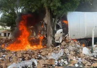 Caminhão atropela homem, bate em árvore e pega fogo