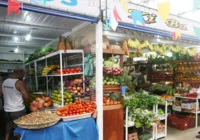 Cesta Básica de Salvador encerra 2023 com redução acumulada de 2,15%