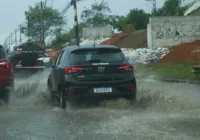 Chuva provoca alagamentos e derruba árvore em Salvador