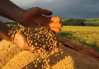 Clima faz produção de grãos cair 6,3% no país