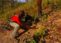 Com detector de metais, lavrador encontra 'tesouro' do Brasil colonial