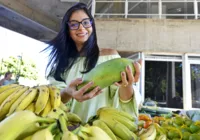 Cuidados com saúde são fundamentais para curtir Carnaval sem problema