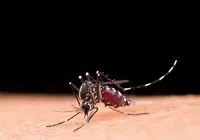 Dengue faz três estados e DF decretarem situação de emergência