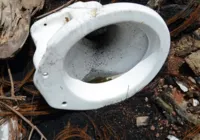 Em uma semana, casos prováveis de dengue sobem 80%, para 217 mil