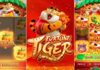 Entenda os jogos de azar online que prometem ganhos de dinheiro