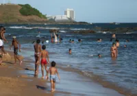 Especialistas explicam cuidados com medusas no mar de Salvador