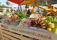 Feira da Agricultura Familiar chega a 14ª edição com novidades