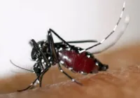Goiânia confirma primeira morte por dengue em 2024