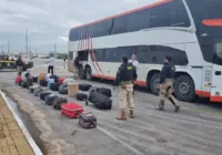 Homem é preso em ônibus tentando transportar pedras preciosas e drogas