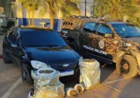 Homem é preso transportando 28 kg de maconha no interior da Bahia