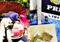 Homem é preso transportando maconha em carro roubado na BR 324