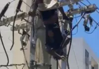 Homem fica preso em cabo de alta tensão em Salvador