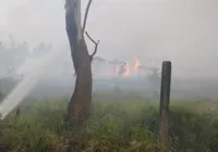Incêndio atinge 200 hectares na maior unidade de conservação de SC