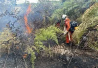 Incêndios no interior da Bahia mobilizam cerca de 200 bombeiros