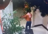 Ladrão invade condomínio e rouba árvore de Natal durante madrugada