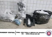 Mais de mil porções de drogas são apreendidas pela PM em Pernambués