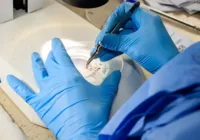 Método Wolbachia reduz casos de dengue em Niterói