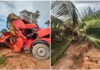 Motorista de caminhão morre após ser atingido por tronco de coqueiro